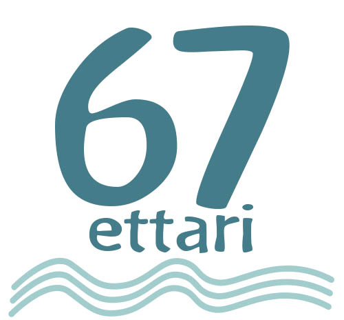 Oasi del Governatore - 67 ettari di uliveti