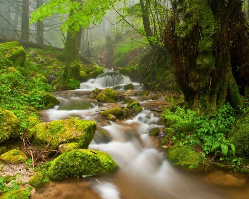 Oasi del Governatore - percorsi natura